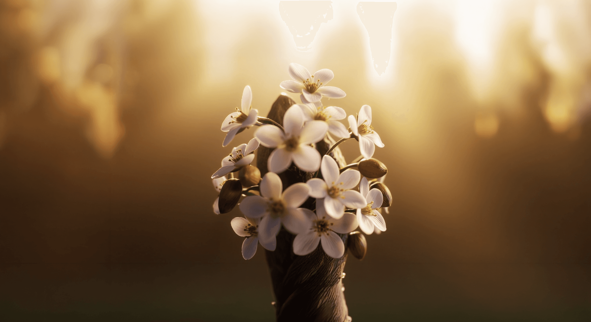 The Almond Tree in the Bible: Why It Points to the Spring Equinox and the Resurrection of the Messiah